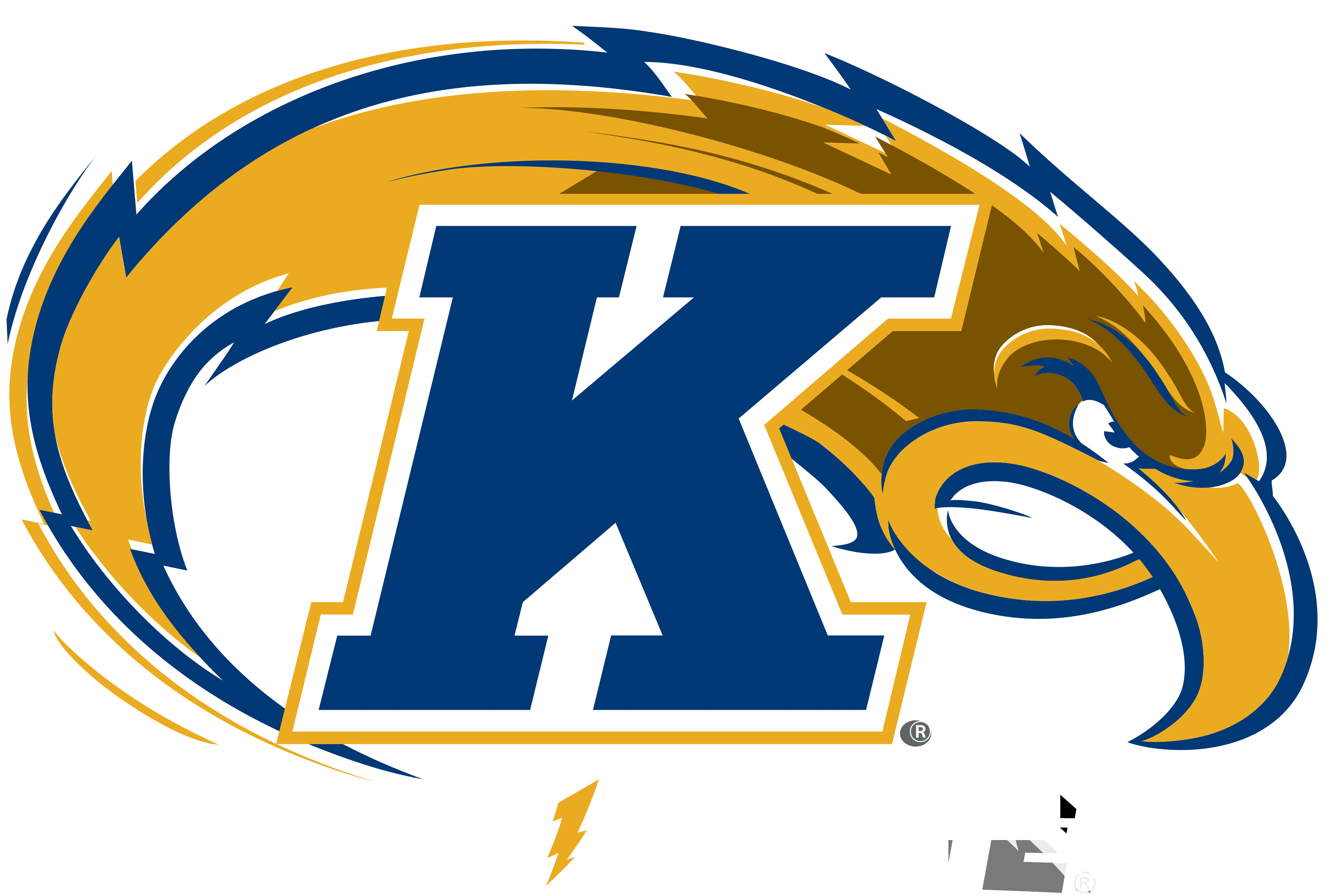 Kent State University